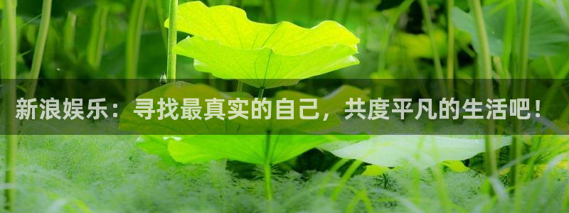 永信贵宾会优惠大厅：新浪娱乐：寻找最真实的自己，共度平凡的生活吧！
