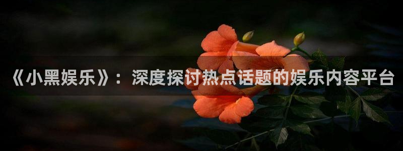 永信贵宾会信誉好不：《小黑娱乐》：深度探讨热点话题的娱乐内容平台