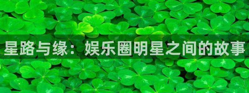 永信贵宾会优惠大厅：星路与缘：娱乐圈明星之间的故事