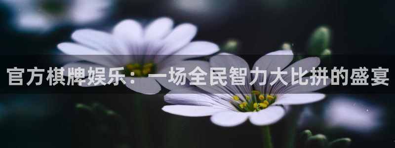 永信贵宾会手机版：官方棋牌娱乐：一场全民智力大比拼的盛宴