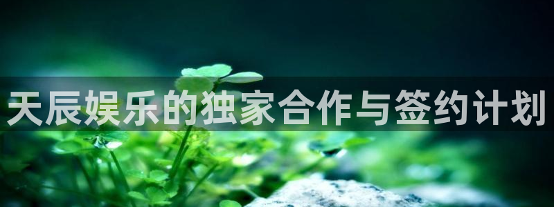 永信贵宾会官网217：天辰娱乐的独家合作与签约计划