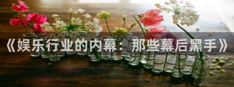 永信贵宾会网址：《娱乐行业的内幕：那些幕后黑手》