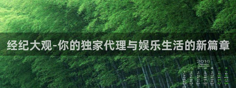 永信贵宾会信誉好不：经纪大观-你的独家代理与娱乐生活的新篇章